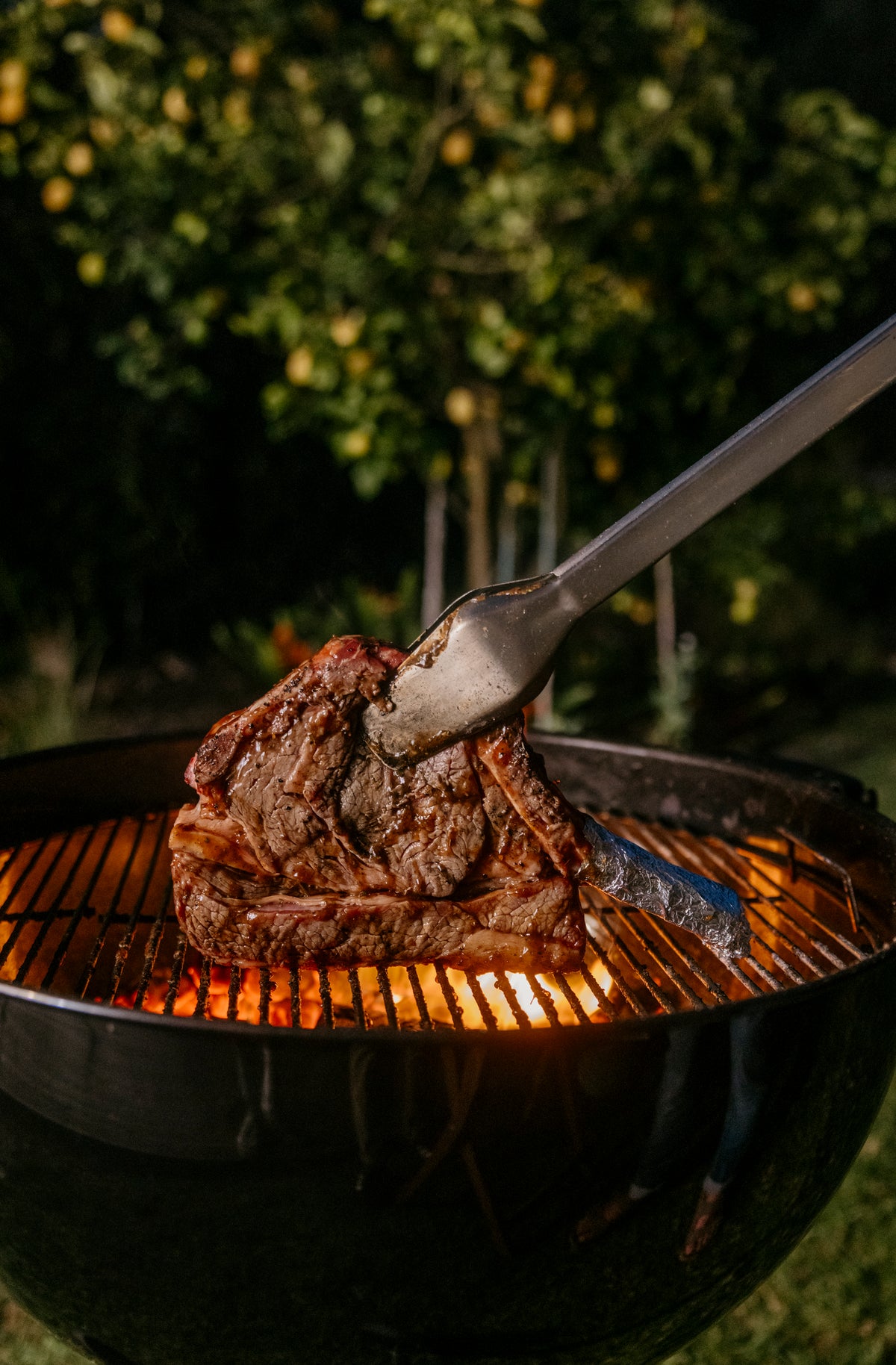 Donkey Tong – Grillzange 69cm