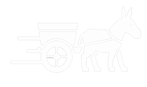 Donkey